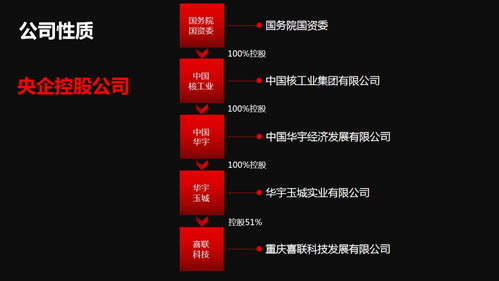 新囍聯(lián)新產(chǎn)品新模式渠道商啟動大會圓滿召開，開啟互聯(lián)網(wǎng)數(shù)據(jù)服務(wù)新篇章